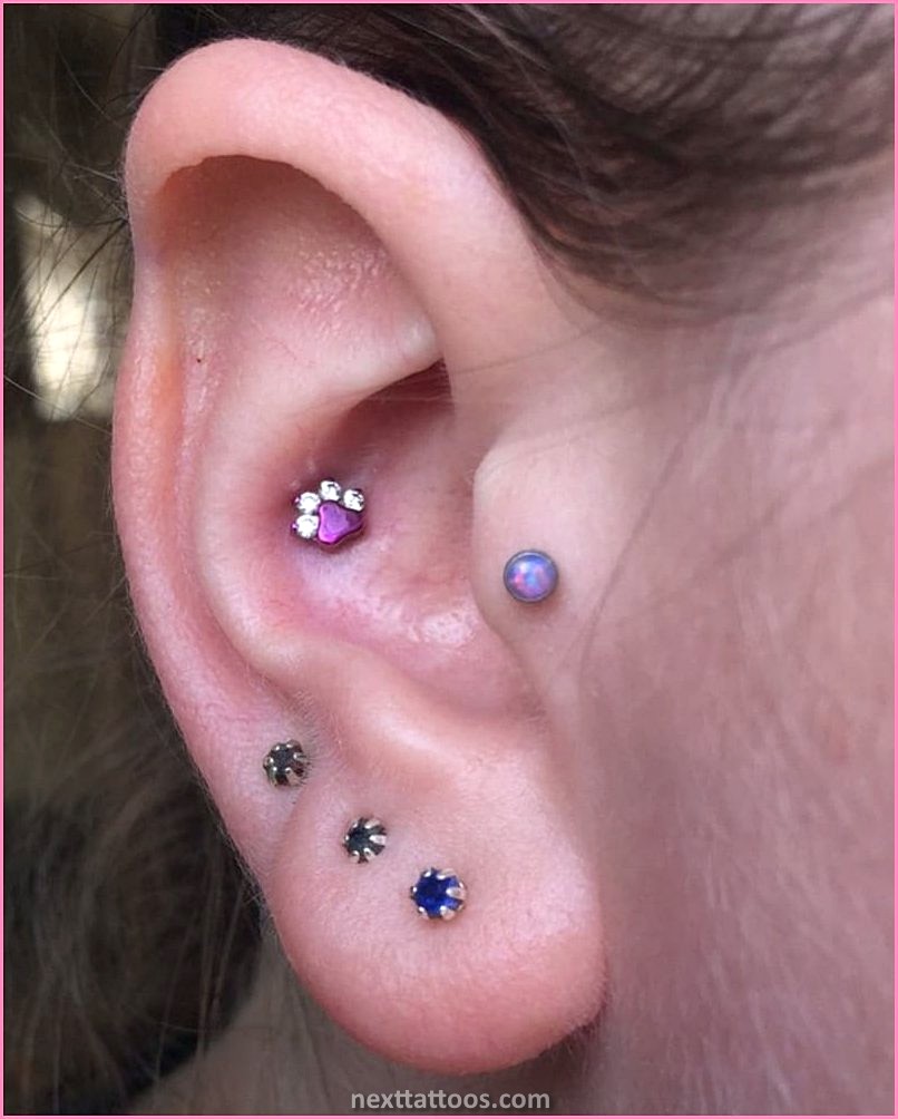 What Piercing Goes With Conch Piercing Ideas?