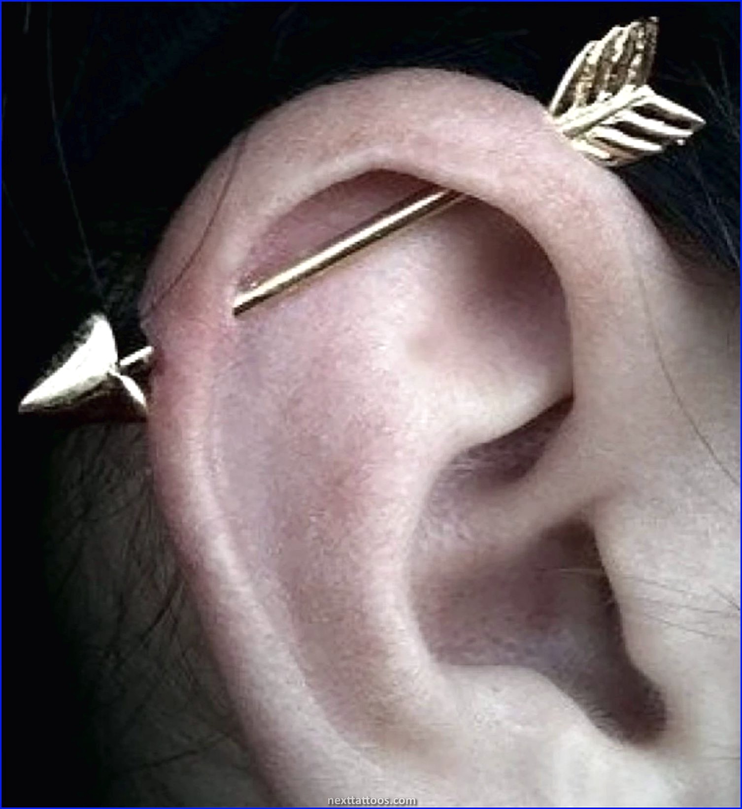 Ear Piercing Ideas With Industrial Theme