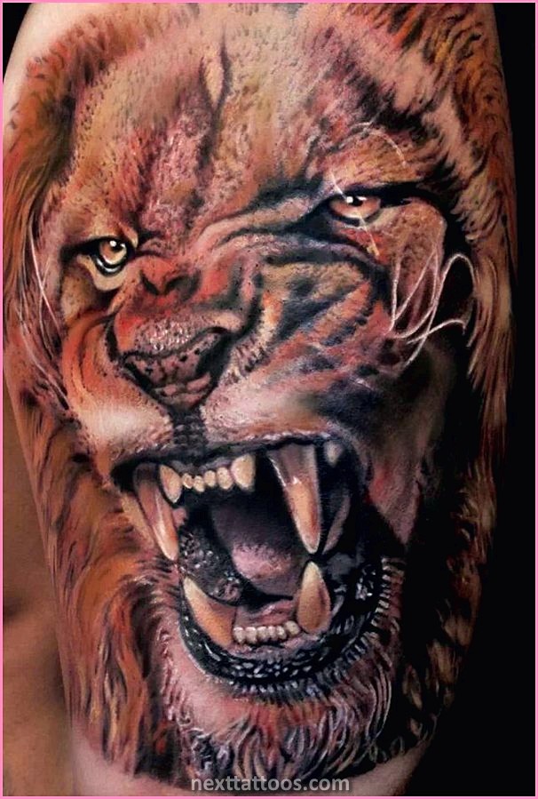 Lion Tattoo Ideas For Guys