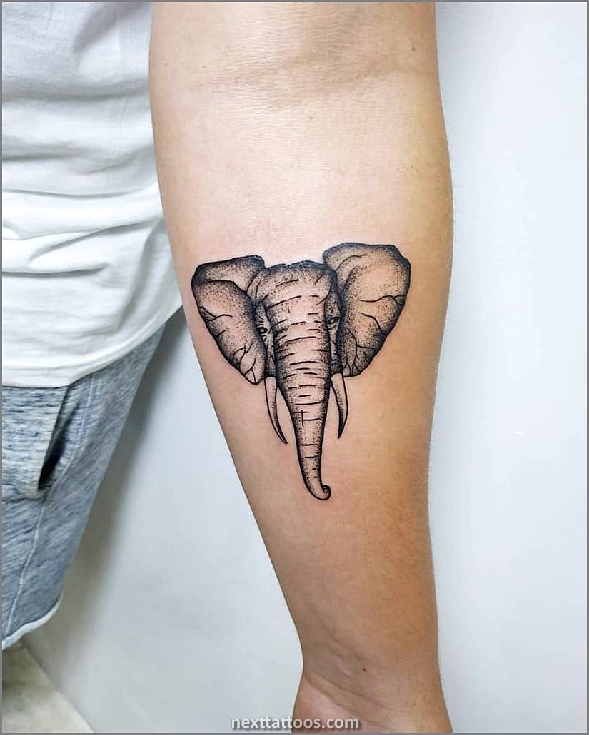 Elephant Tattoo Ideas For Guys