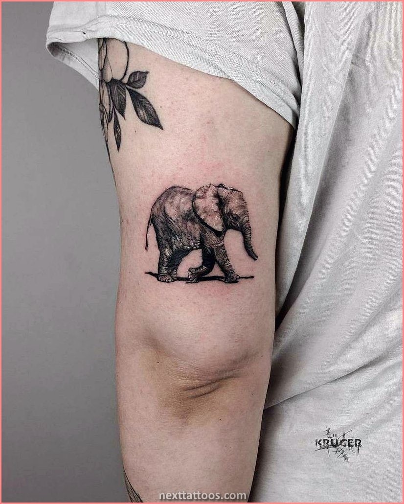 Elephant Tattoo Ideas For Guys