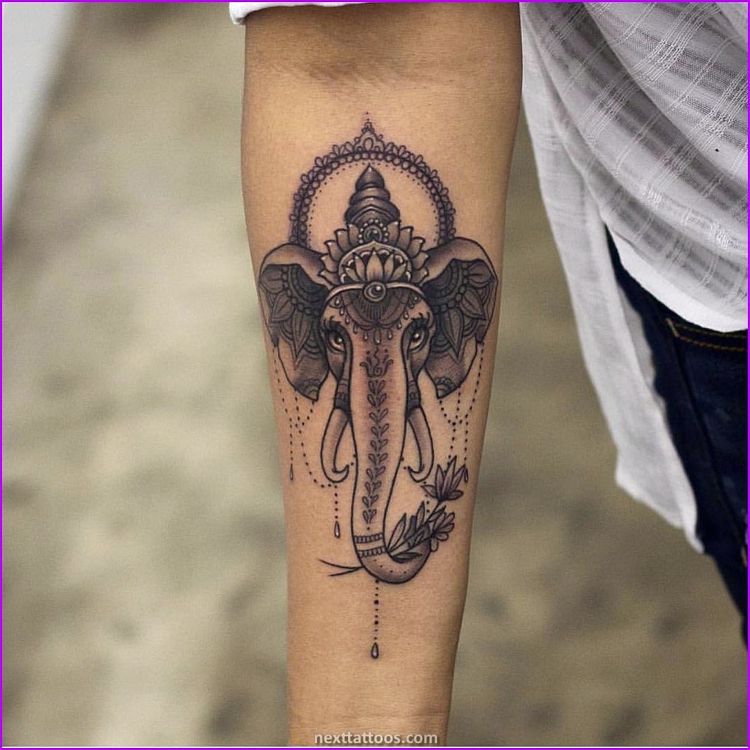 Elephant Tattoo Ideas For Guys