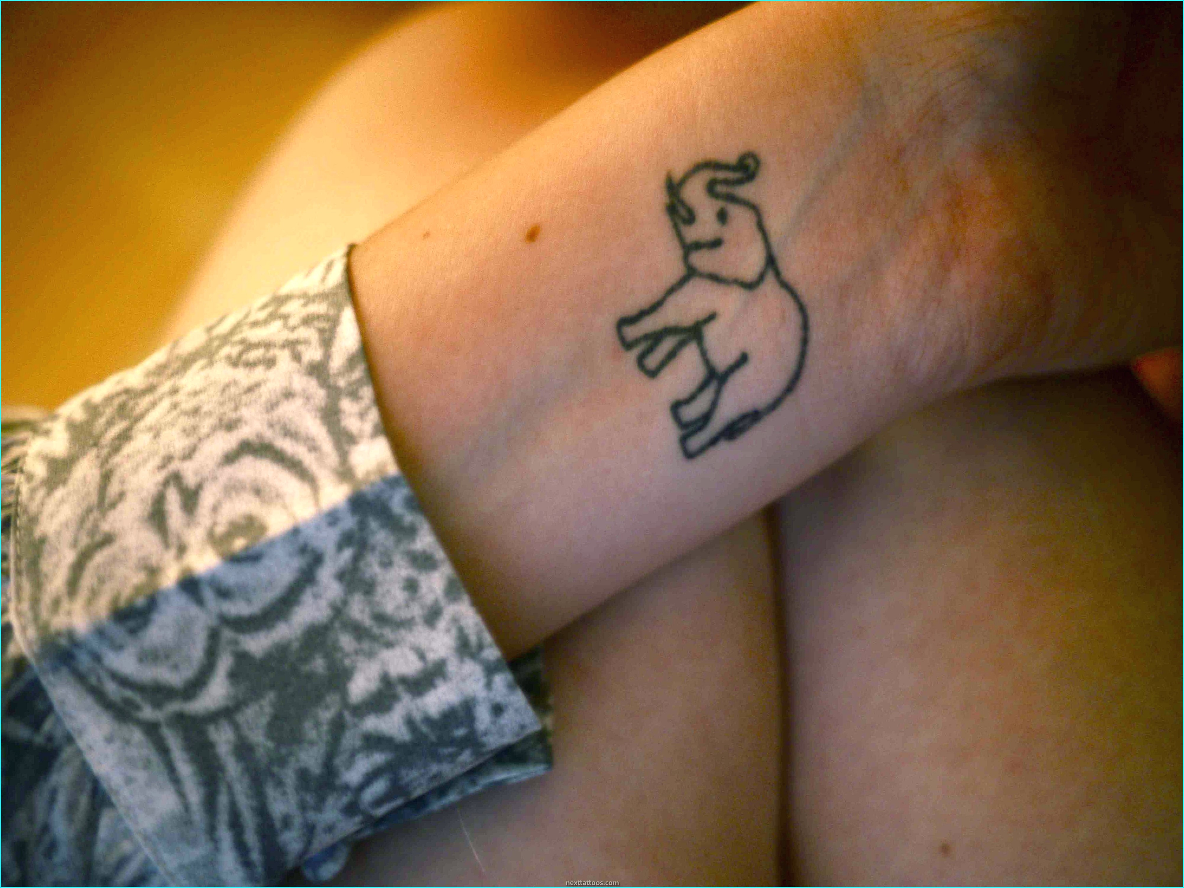 Elephant Tattoo Ideas For Guys