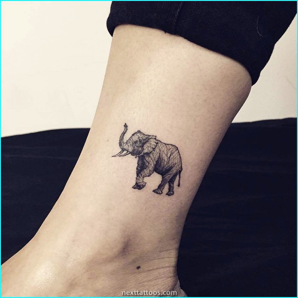 Elephant Tattoo Ideas For Guys