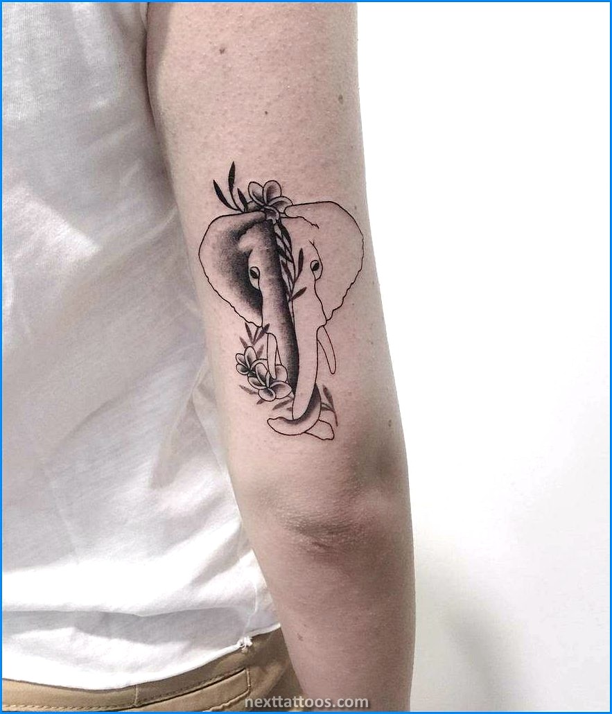 Elephant Tattoo Ideas For Guys