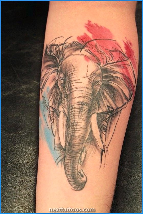 Elephant Tattoo Ideas For Guys