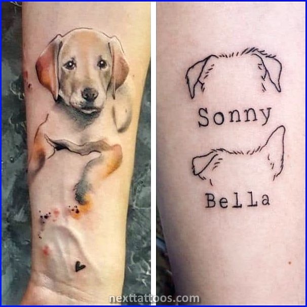 Dog Tattoo Ideas For Guys