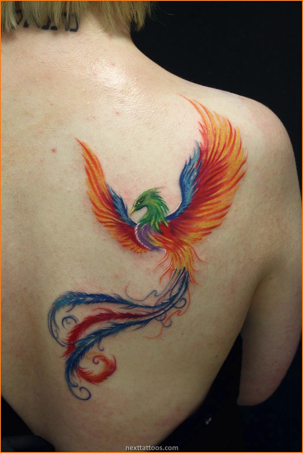 Shoulder Tattoo Ideas For Women and Men