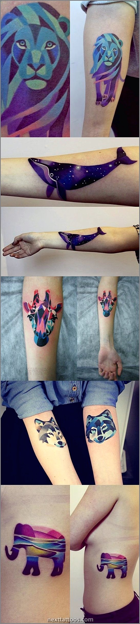 Anemone Tattoos by Sasha Unisex