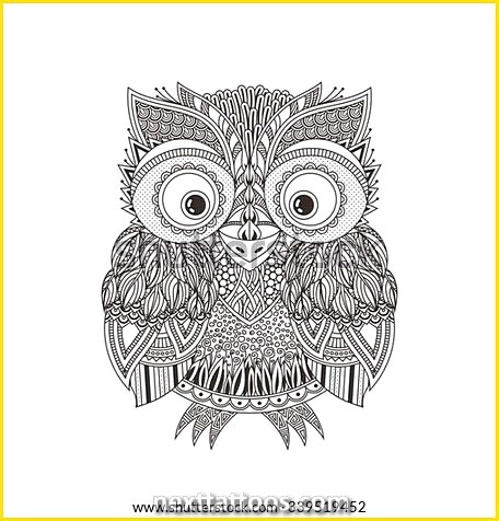 Owl With Mandala Background and a Unisex Crown Tattoo Sketch