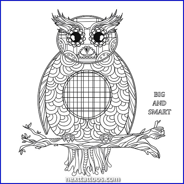 Owl With Mandala Background and a Unisex Crown Tattoo Sketch