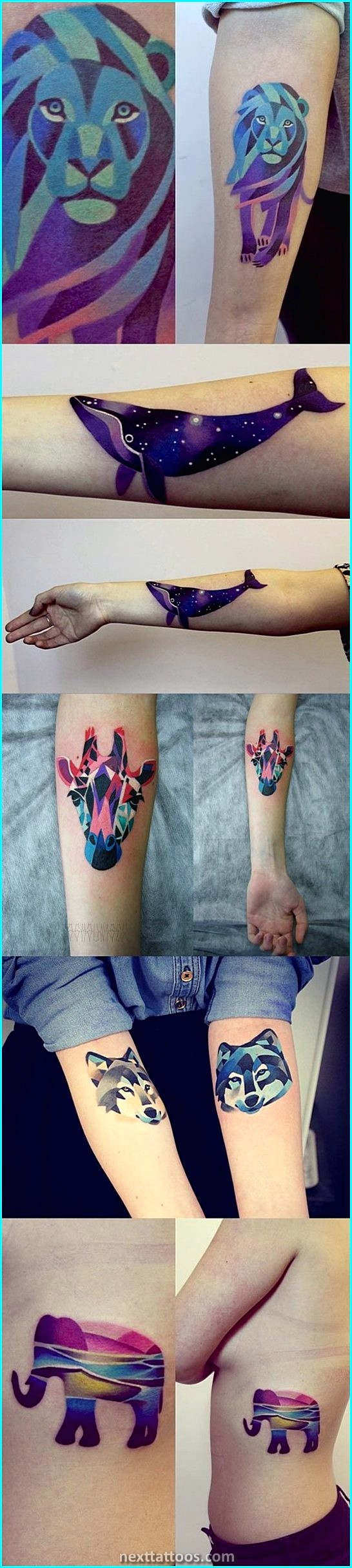 Sasha Unisex Tattoos - Modern and Colorful