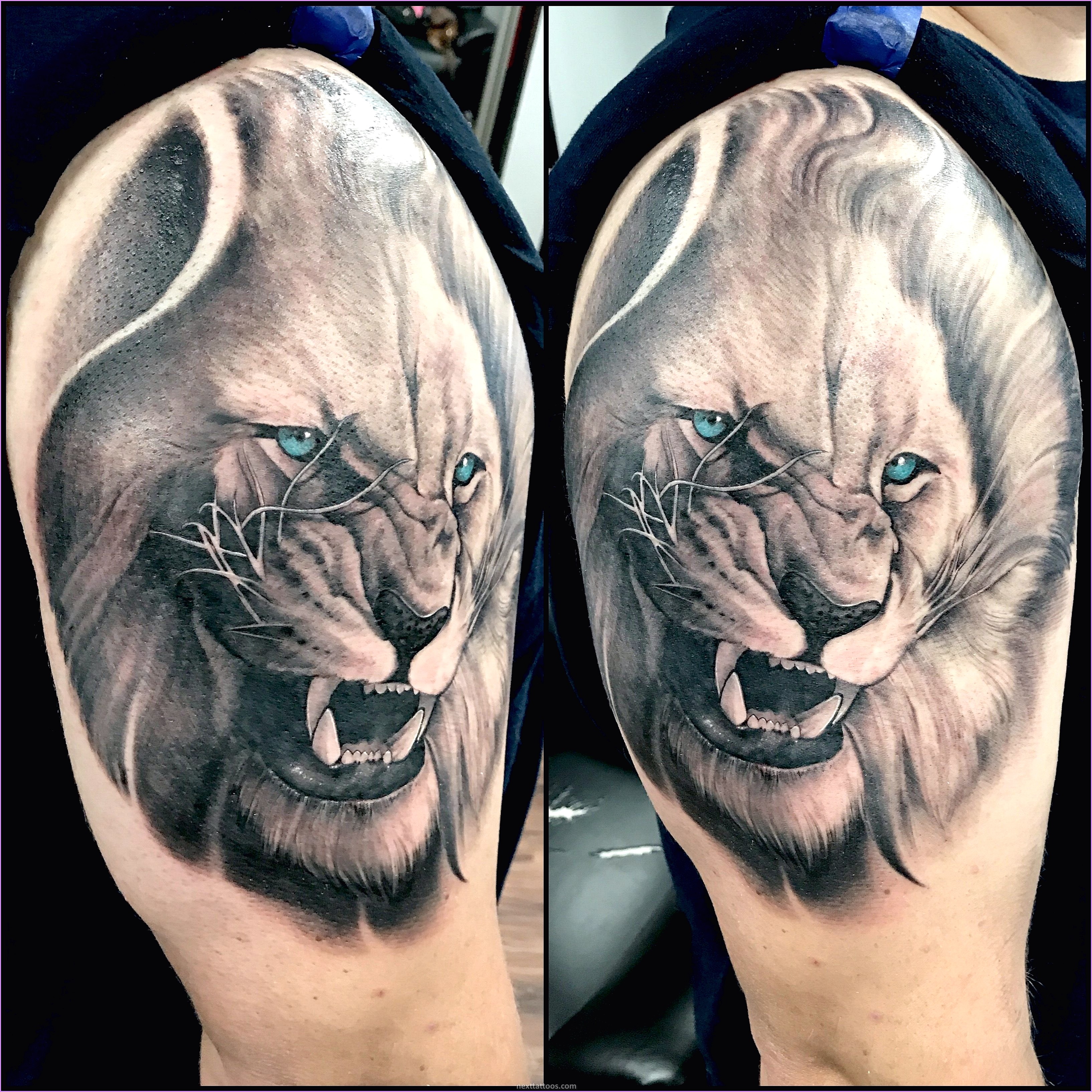 The Meaning of a Lion Tattoo Arm Or Chest