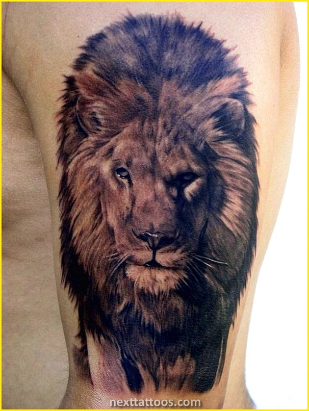 The Meaning of a Lion Tattoo Arm Or Chest