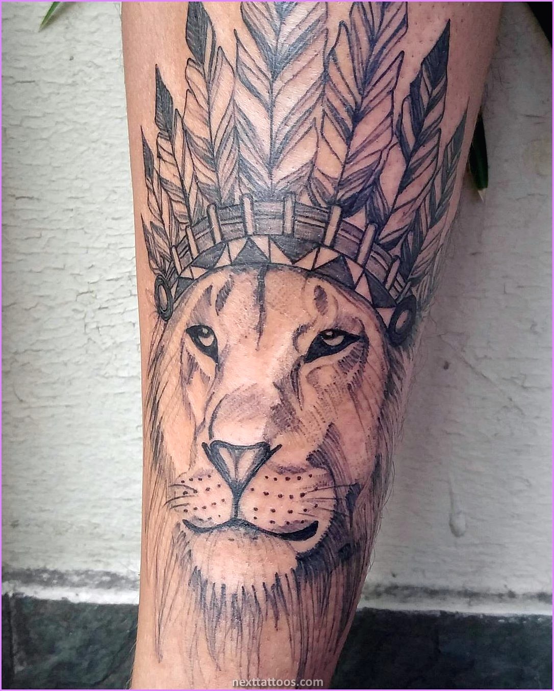 The Meaning of a Lion Tattoo Arm Or Chest