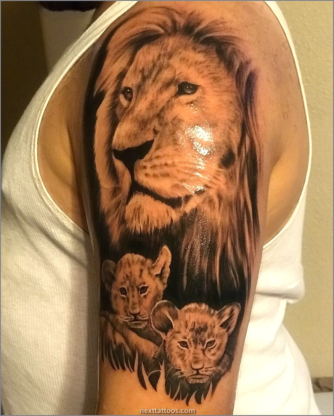 The Meaning of a Lion Tattoo Arm Or Chest