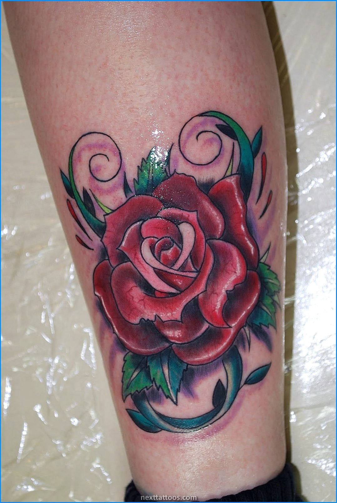 Popular Tattoo Designs For Girls and Women