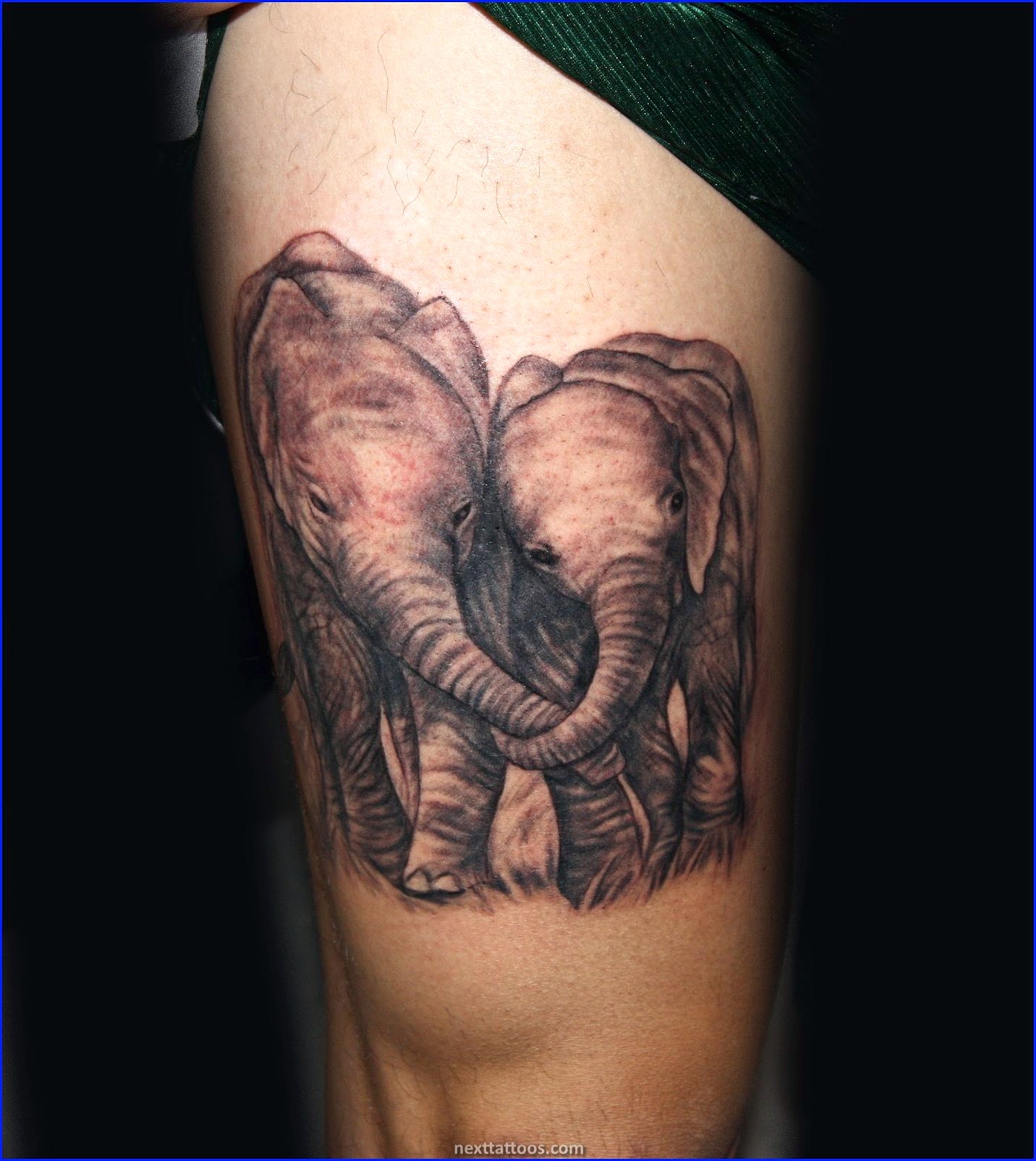 The Top Three Elephant Tattoo Ideas
