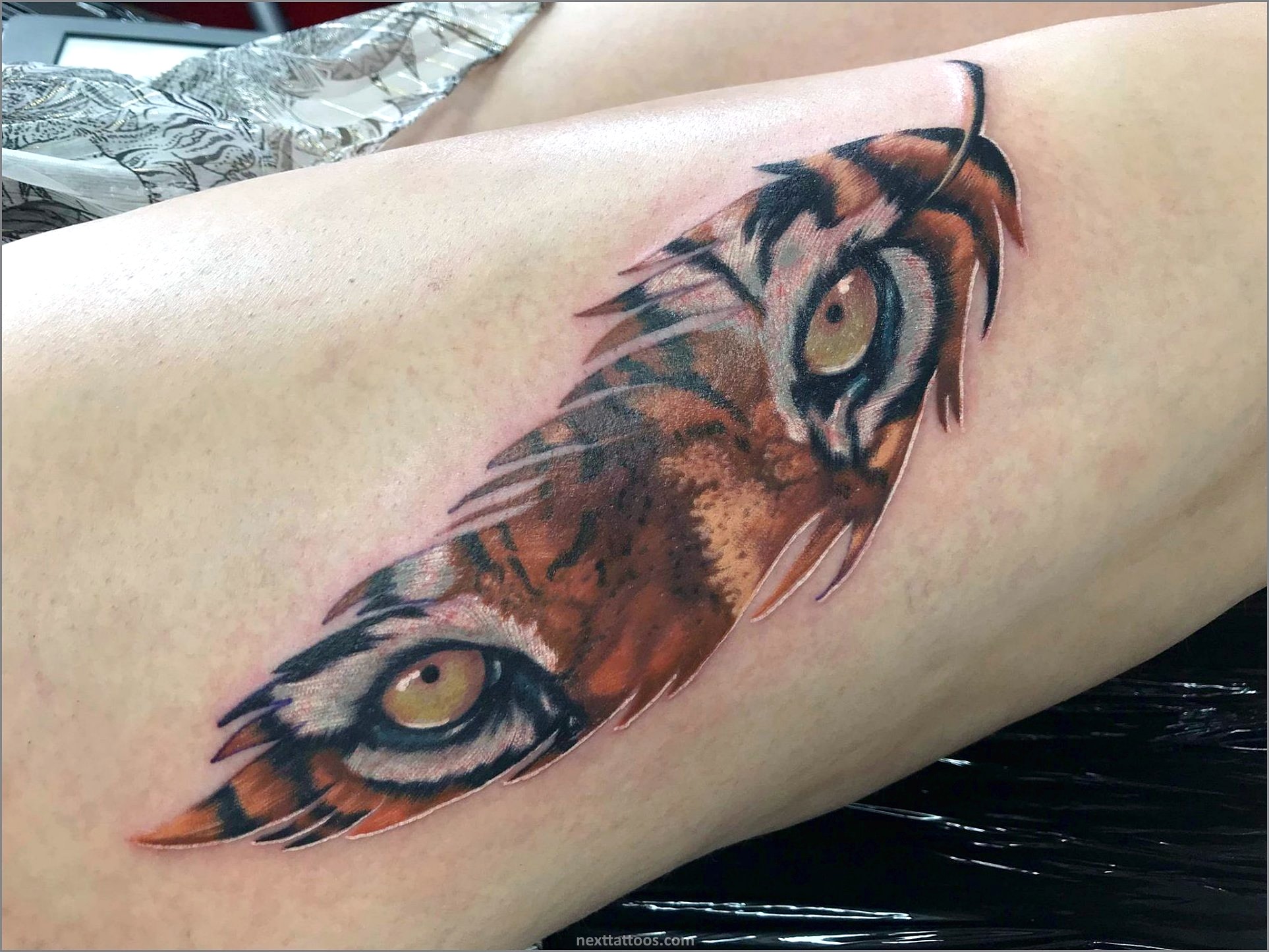 Tattoo Near Me - Find a Tattoo Artist That's Right For You