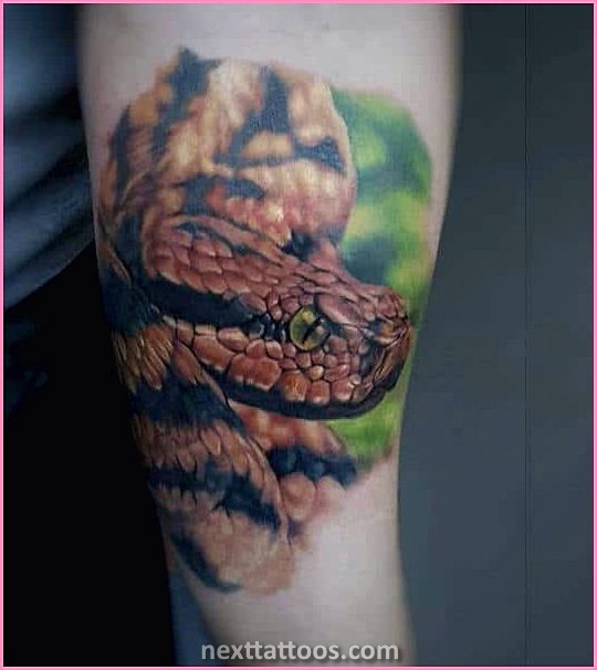 Animal Arm Tattoos For Men