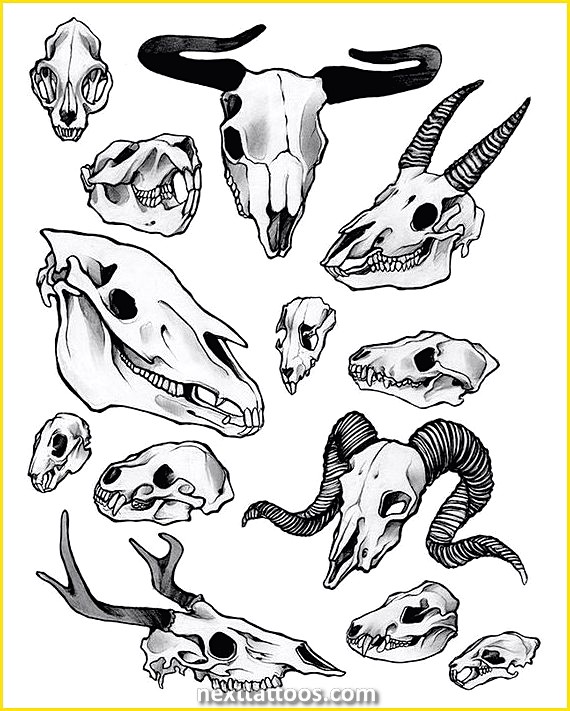 Creepy Animal Tattoos