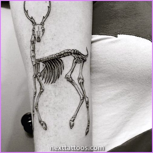 Skeletons Are Great Skeletal Animal Tattoos Skeletons Are Great Skeletal Animal Tattoos